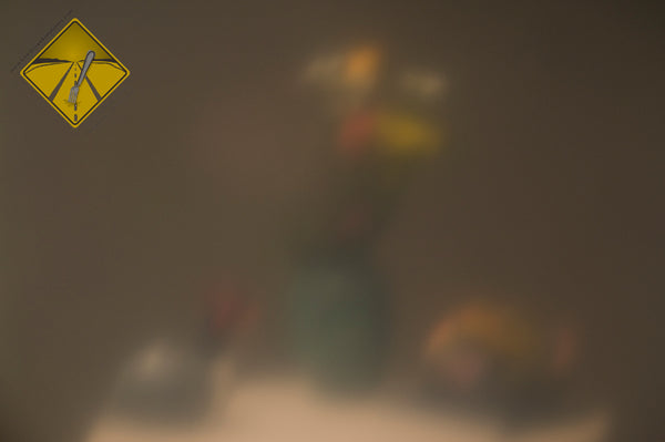 Simulation of a central blind spot (scotoma) with a VA of 20/200 (6/60). Portion of flowers left of center is obscured